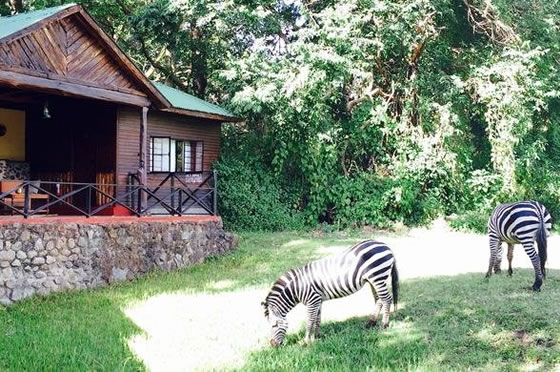 Mount Meru Lodge & Sanctuary